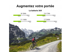 Green Cell ® batterie pour vélo électrique e-Bike 24V 8.8Ah 211Wh